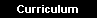  Curriculum 