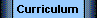  Curriculum 