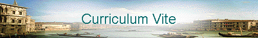  Curriculum Vite 